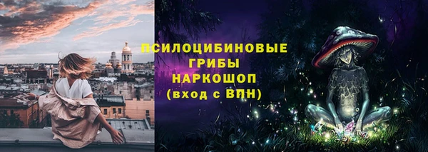 бошки Елизово