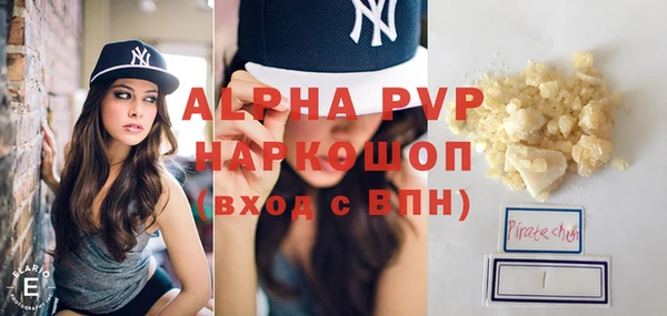 винт Ельня