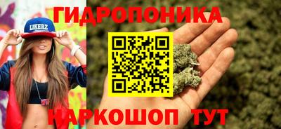 PSILOCYBIN Аша
