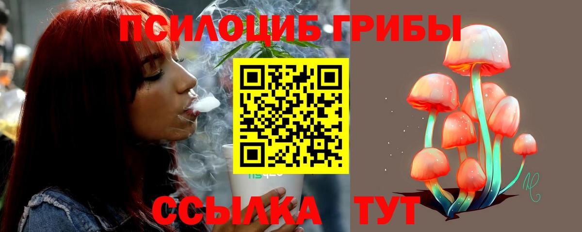Галлюциногенные грибы ЛСД  Псилоцибиновые грибы Psilocybe  Вход с VPN  Пермь 